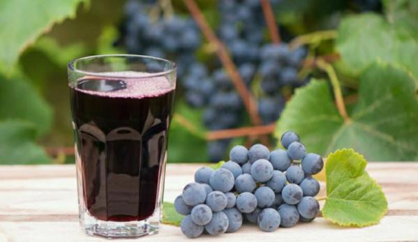 پخش کنندگان شیره انگور طبیعی اصل