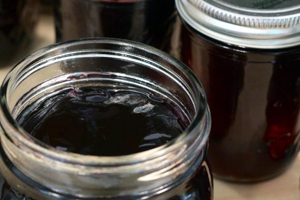 خواص شیره انگور برای کم خونی