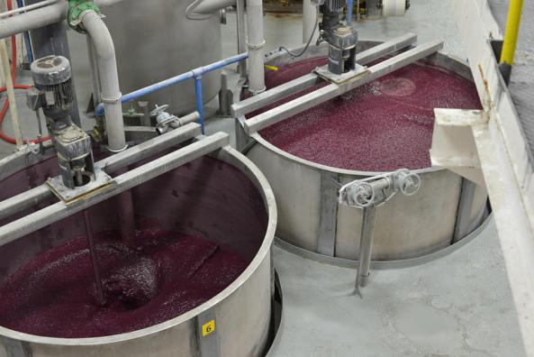 روش تهیه شیر انگور به روش صنعتی